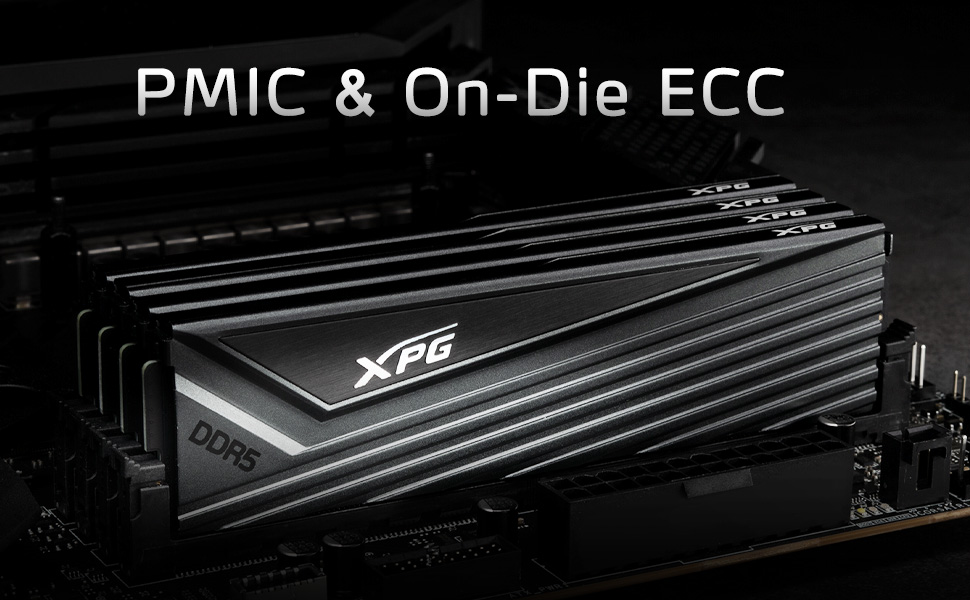 CASTER DDR5