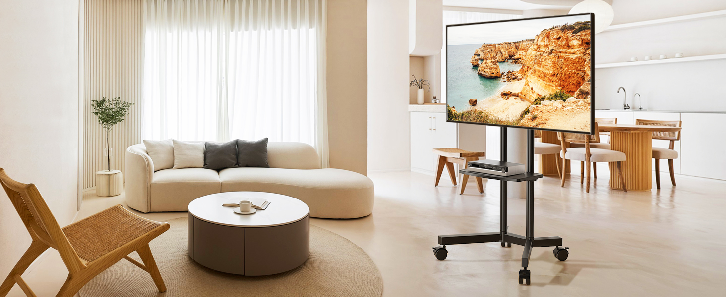Soporte de TV