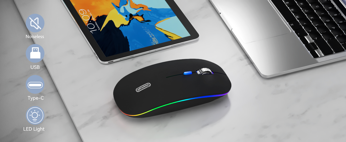 mouse