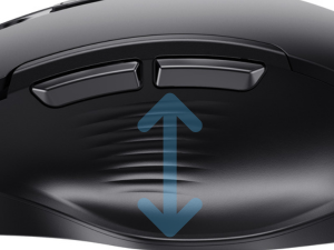 mouse
