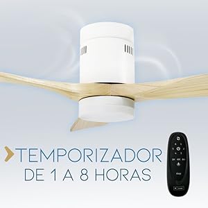 Temporizador