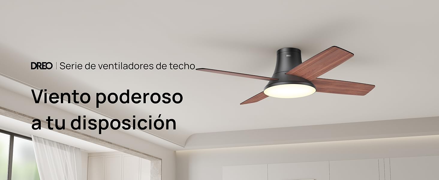 ceiling fans