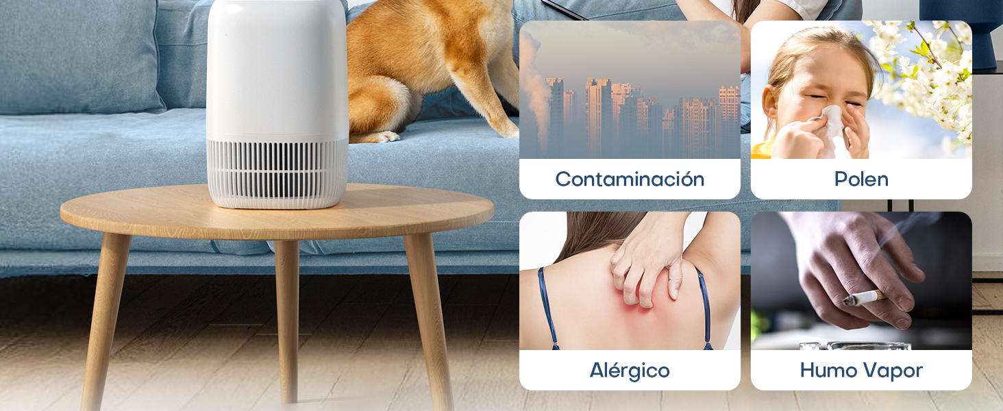 Purificador de aire