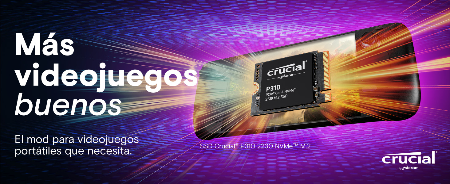 P310 NVMe