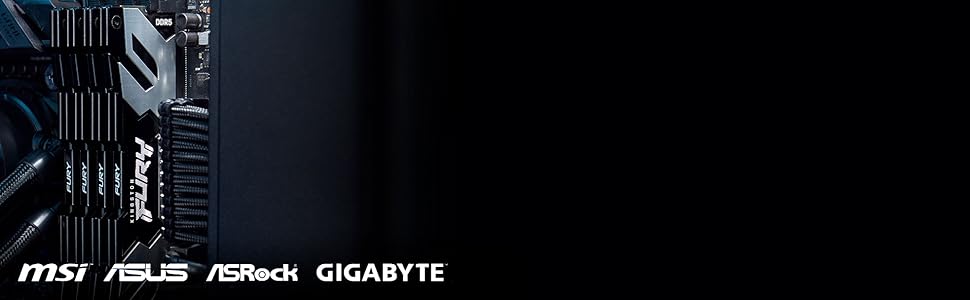 Fury Renegade DDR5