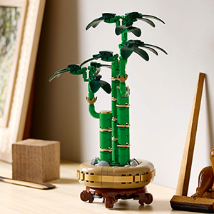 10344_BOTANICALS
