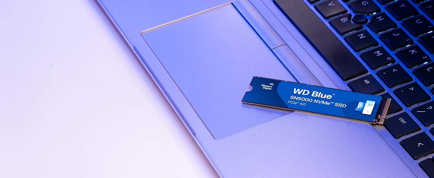 WD Blue SN5000