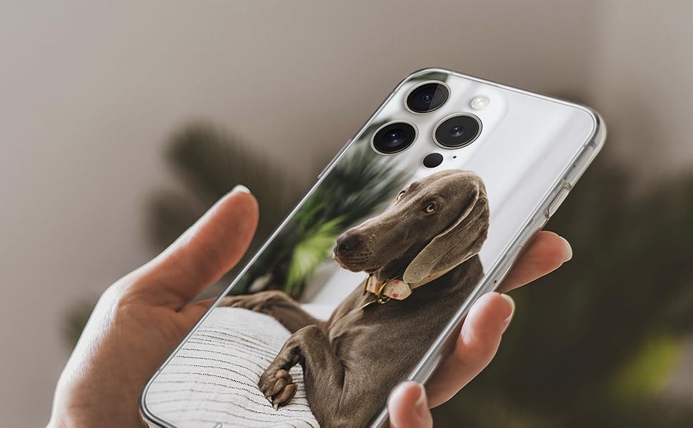 Funda iPhone