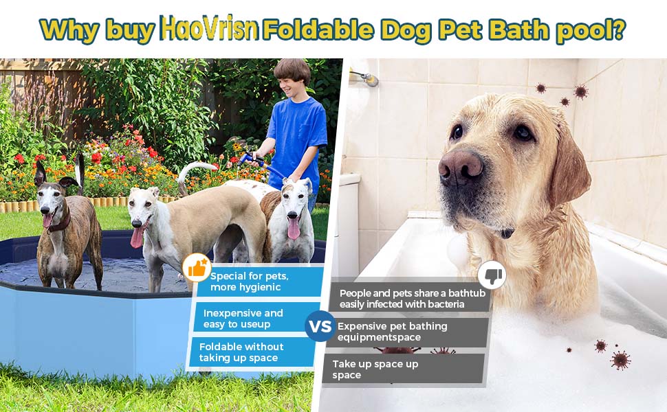 Piscina para perros grandes y pequeños