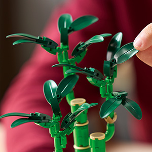 10344_BOTANICALS