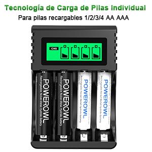 Cargador pilas recargables