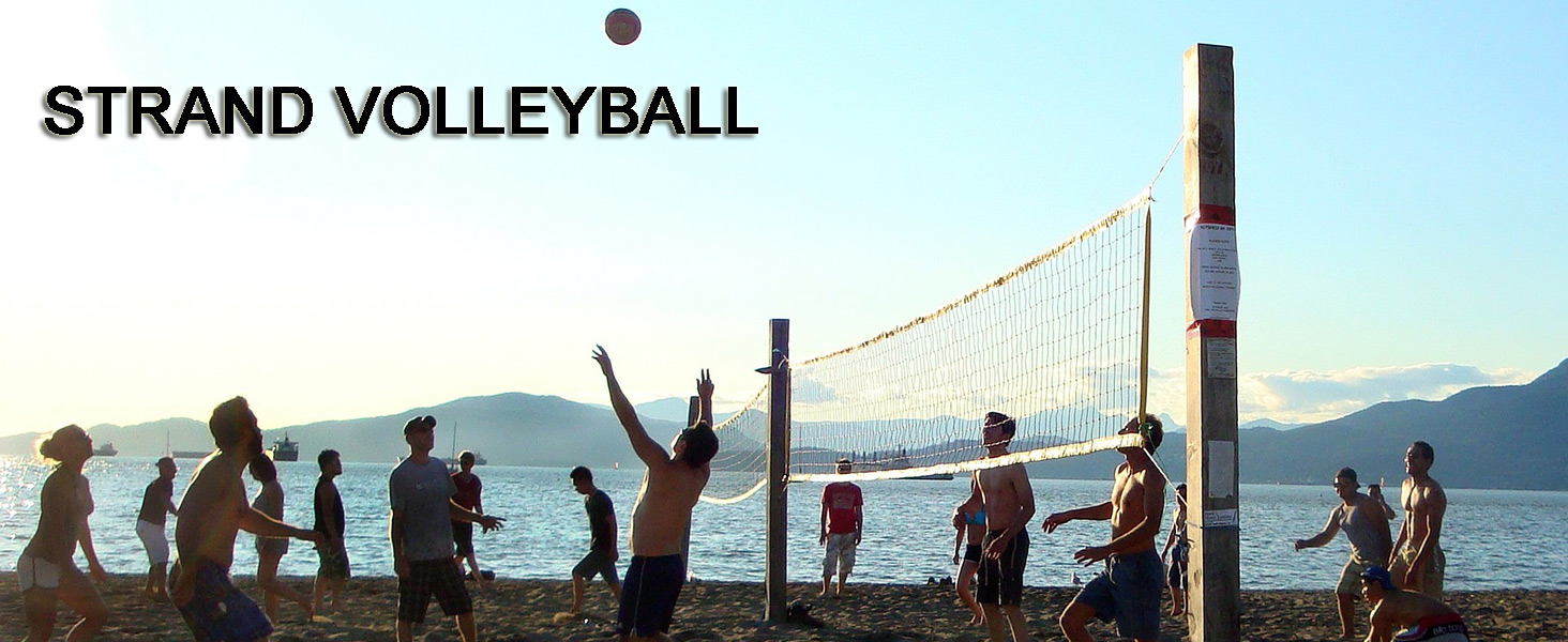 red de voleibol playa