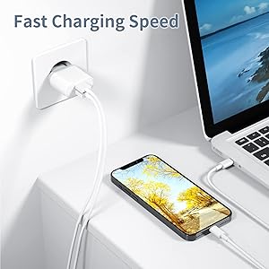 Enchufe iPhone