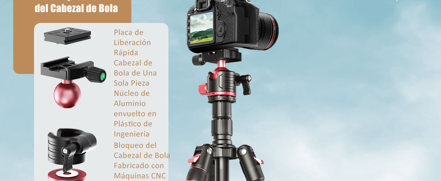 Vista Explosiva del Cabezal de Bola