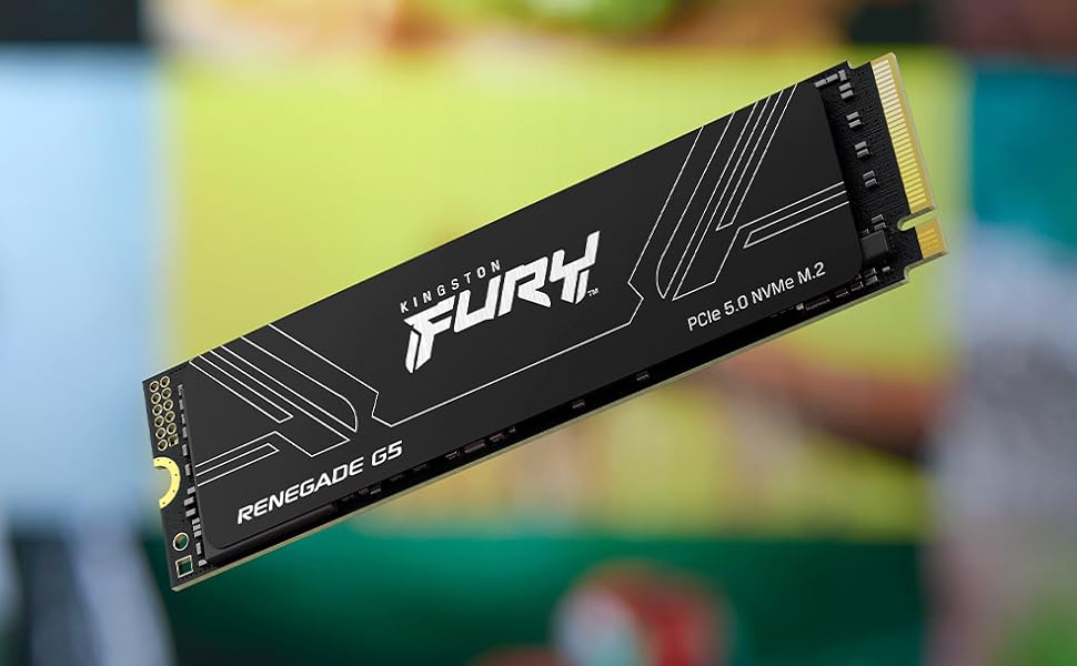 Fury Renegade SSD SYR2S