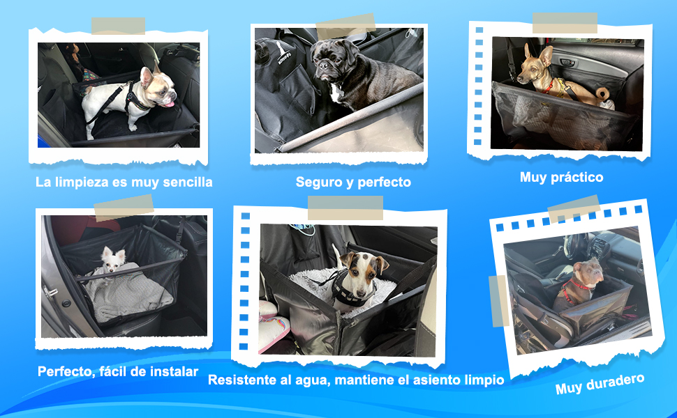 Asiento de Coche para Mascota