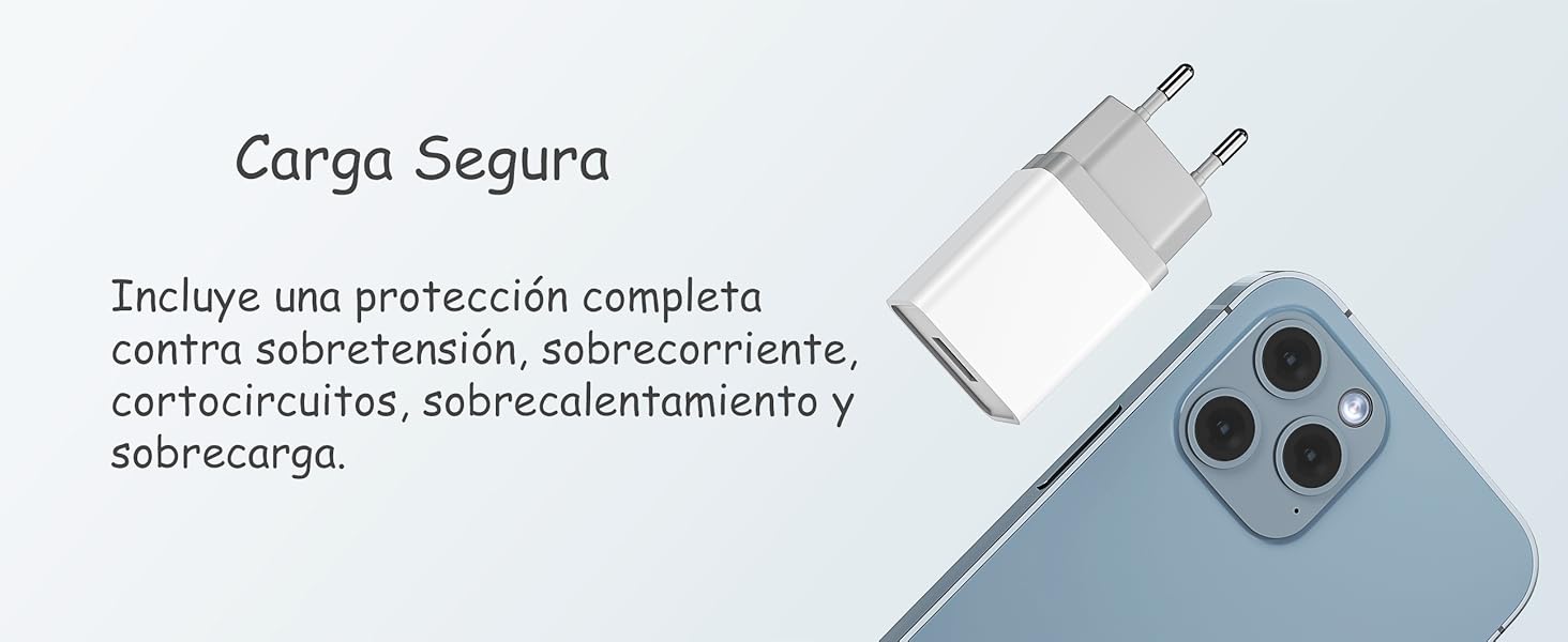 carga