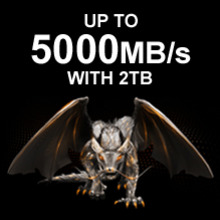 FireCude 520N SSD (Charmander)