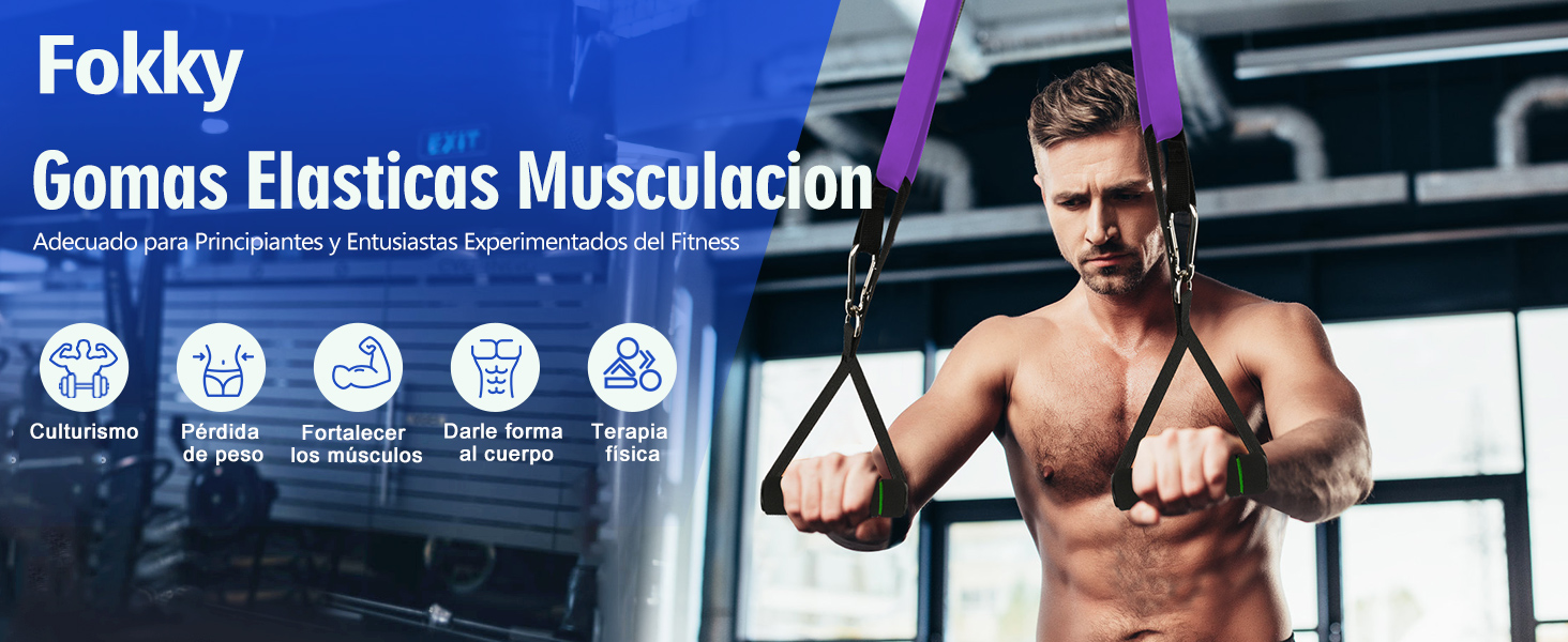 bandas elasticas musculacion