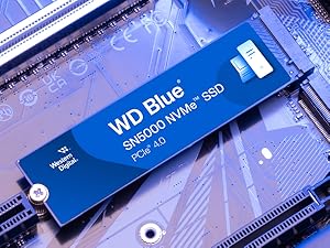 WD Blue SN5000
