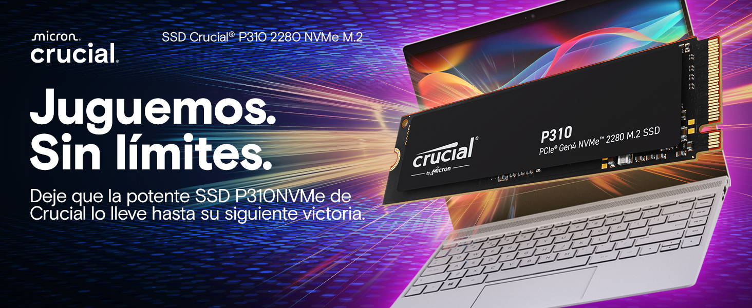 Crucial P310