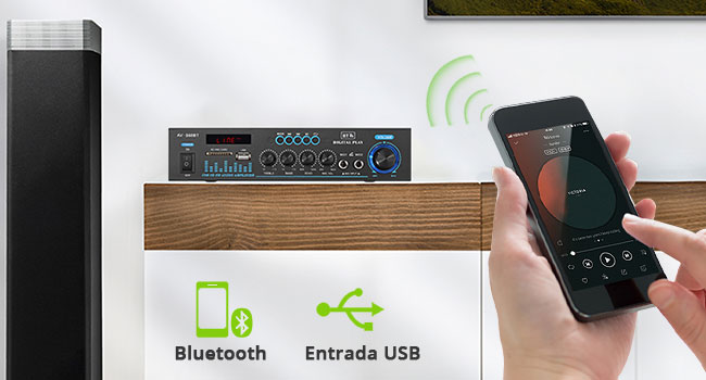 Amplificador Audio HiFi