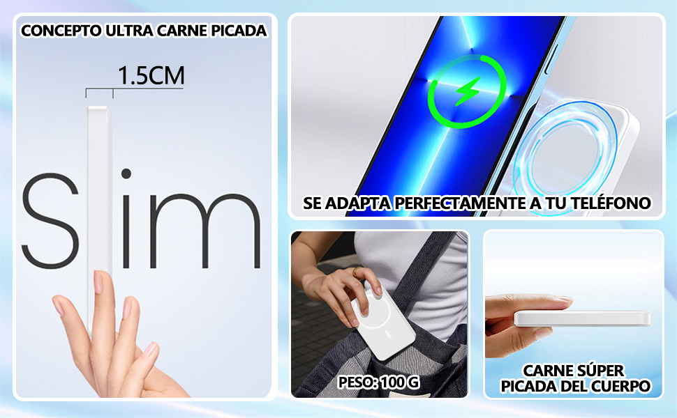 Power Bank