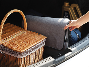 Cooler.Bag