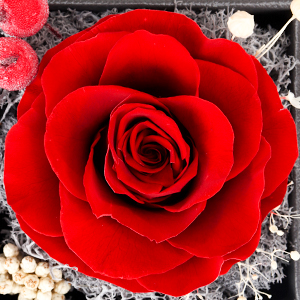 Valentinstag