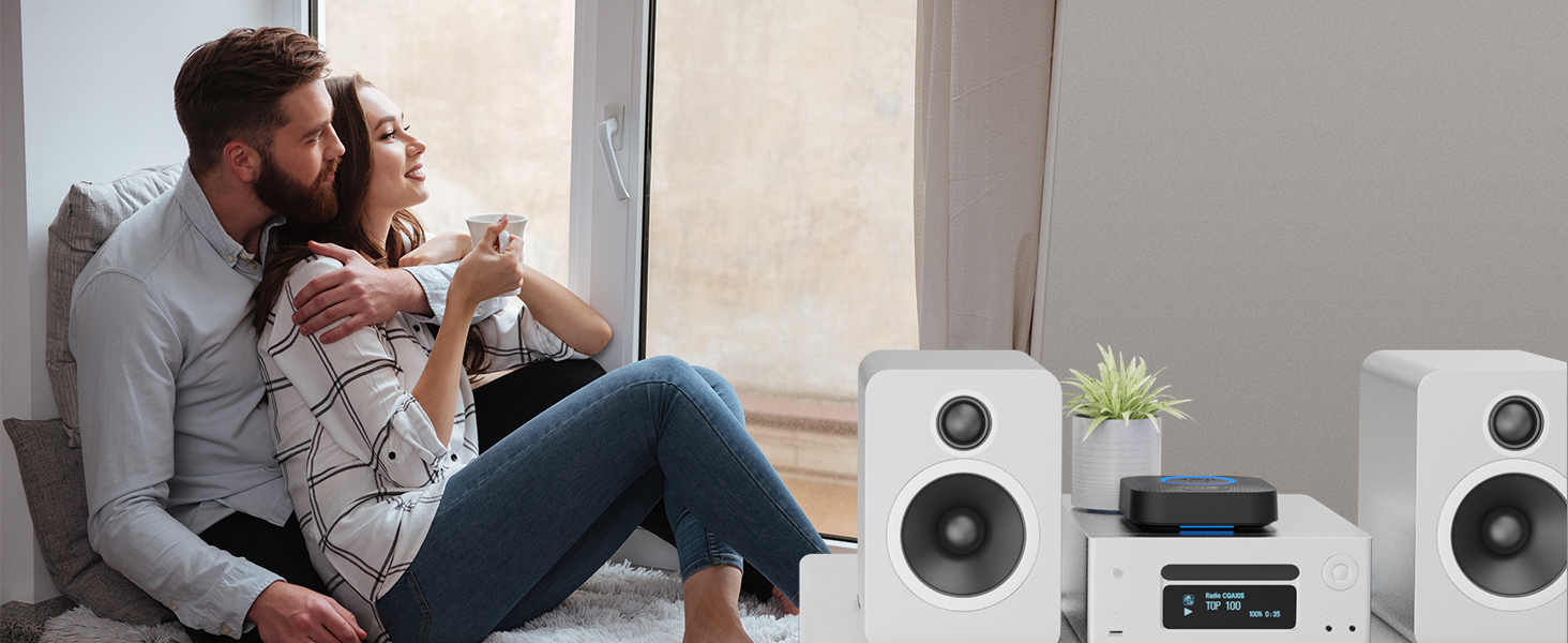adaptador bluetooth rca para amplificador altavoz