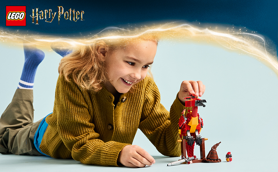 76448_HARRY POTTER
