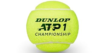 ATP Championship