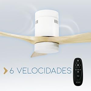 6 velocidades