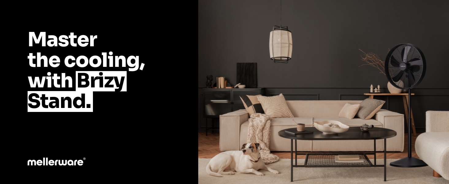 brizy stand black