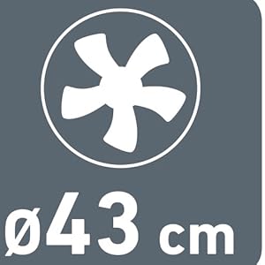 43 cm