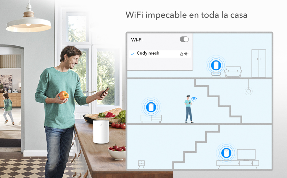 mesh wifi