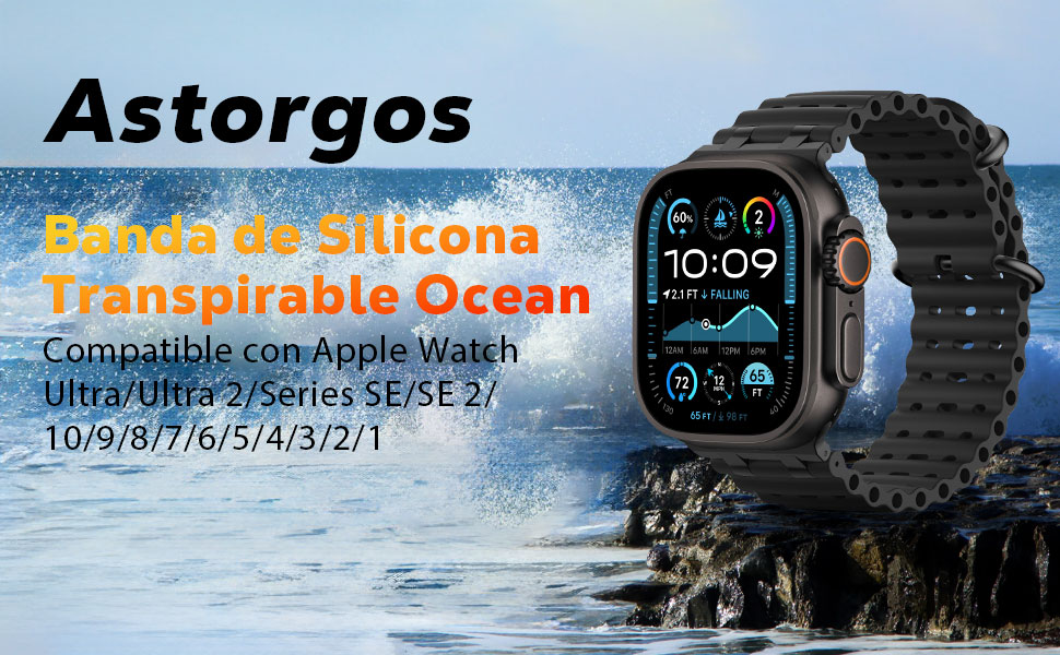 correa de reloj