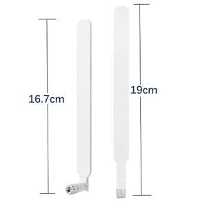 Antena 4G LTE Antena