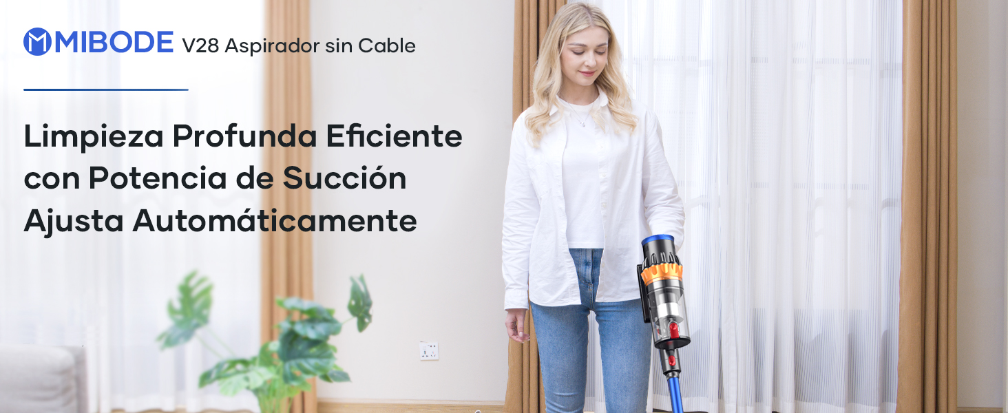 aspiradora sin cable