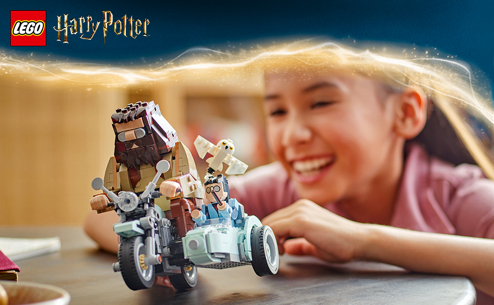 76443_HARRY POTTER