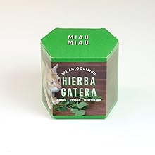 Huerto urbano, semillas, regalo, original, sostenible, natural, amigo invisible, DIY, cultivo