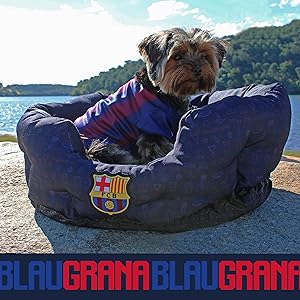 FCB