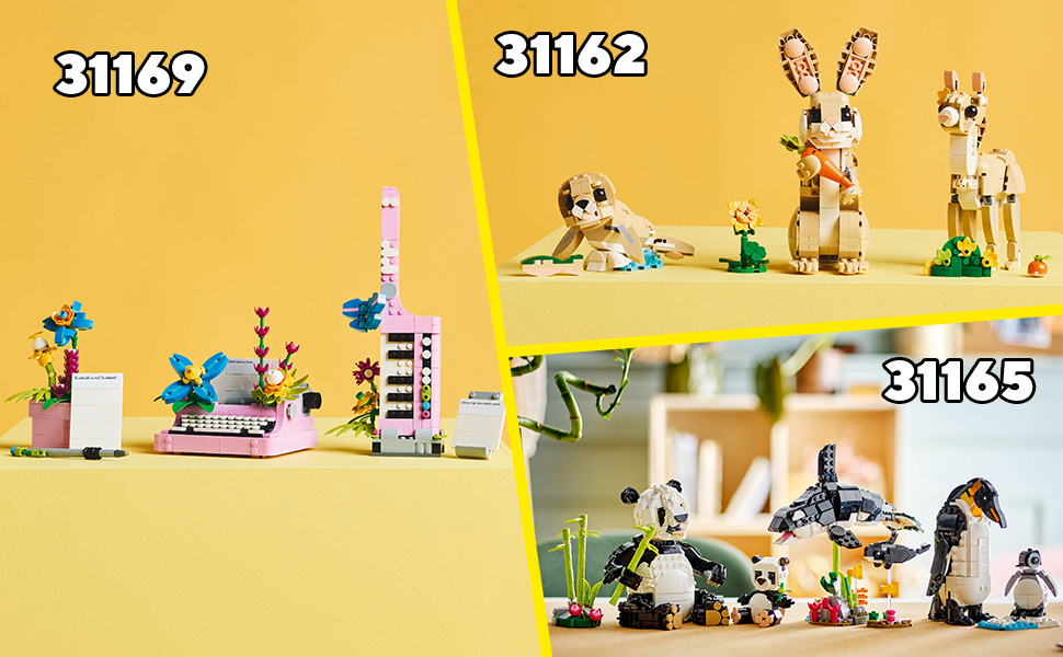 31163_CREATOR