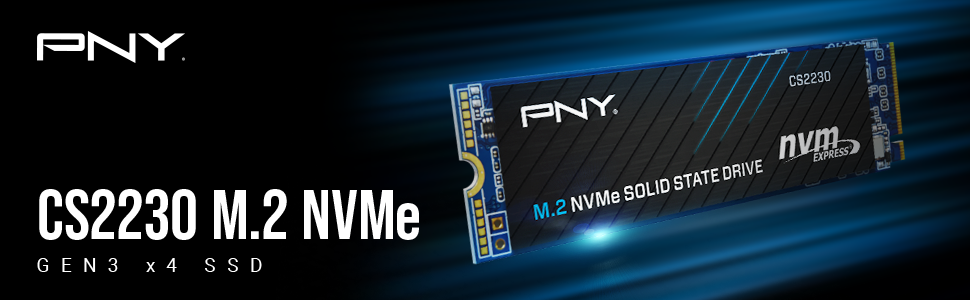 pny cs2230