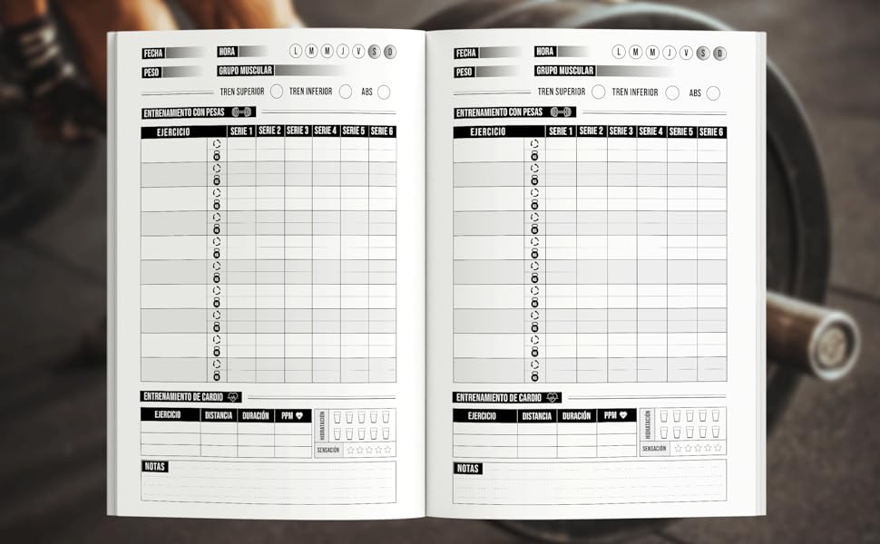 Diario de Entrenamiento
