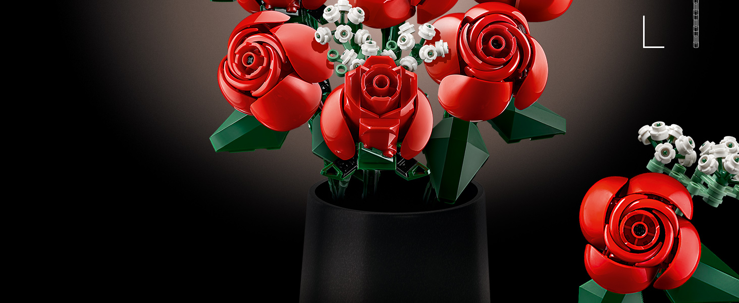 10328_Premium A+