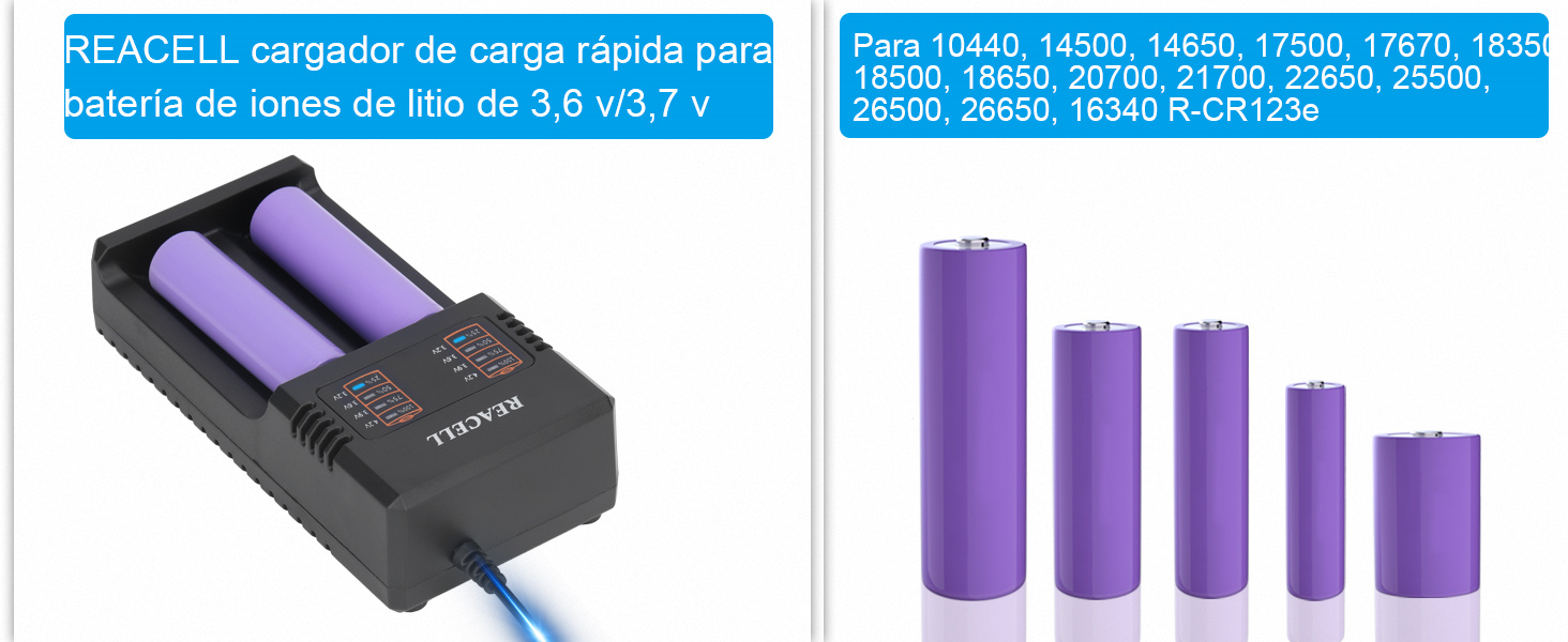 REACELL con dos ranuras de carga, que se muestra junto a baterías de litio moradas de varios tamaños