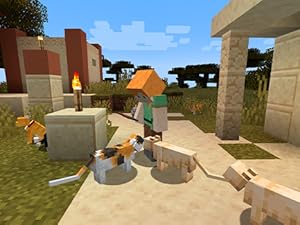 MINECRAFT