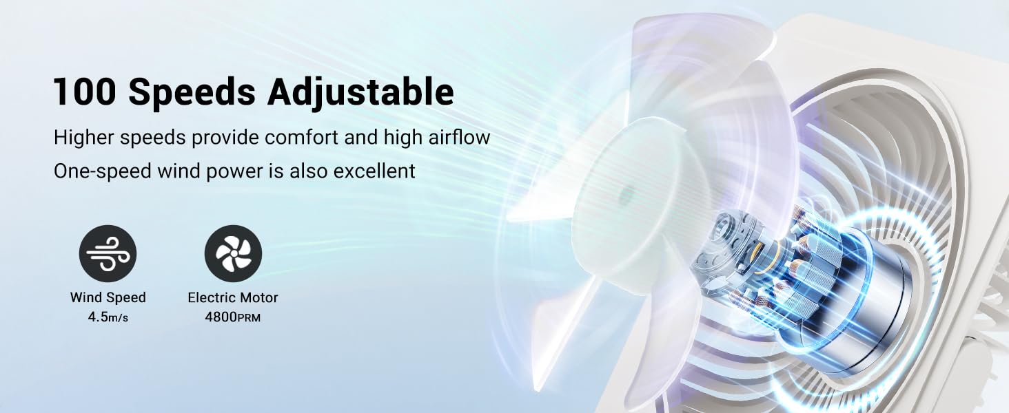 Table fan