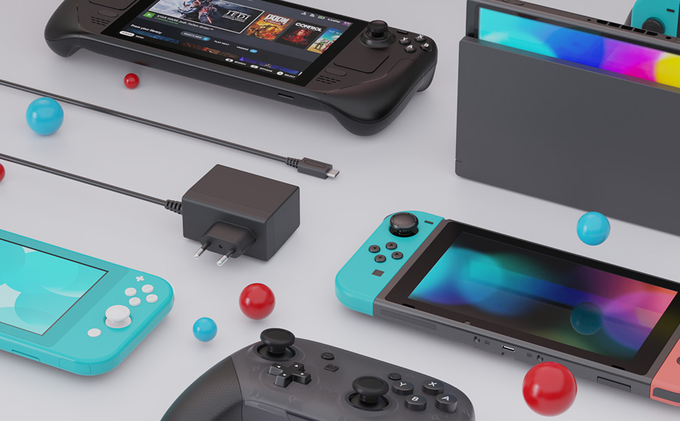 45W Adaptador de Corriente para Switch con Cable